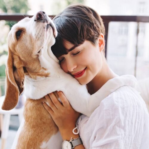 Paw Protection 101: Why Your Pet Needs Shoes