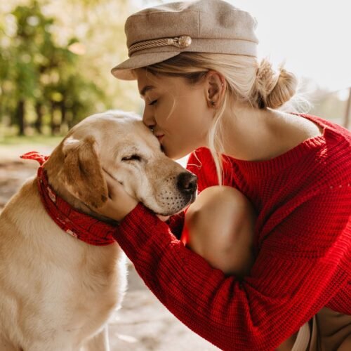 The Paw-fect Guide to Pet Behavior and Training🐾